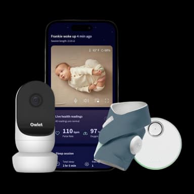 Owlet Dream Duo 3